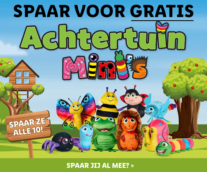 Achtertuinminis
