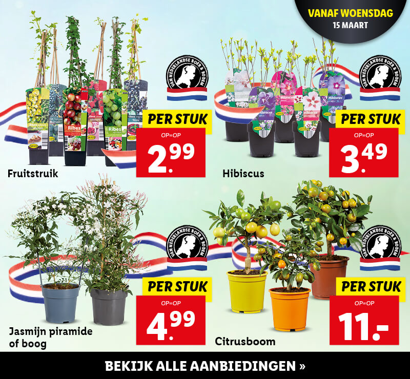 Bloemen en planten