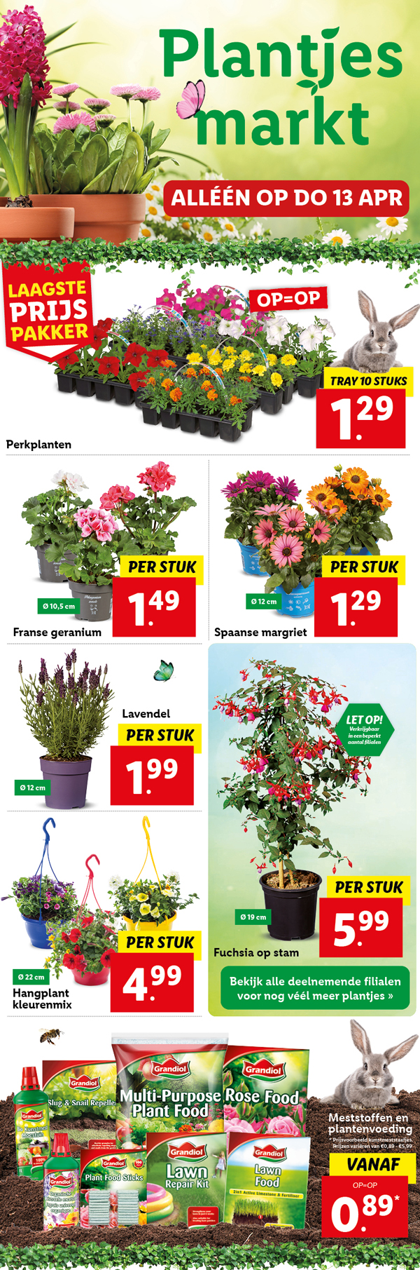 Plantjesmarkt