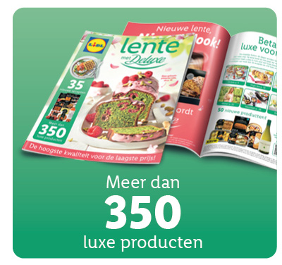 Lente Brochure