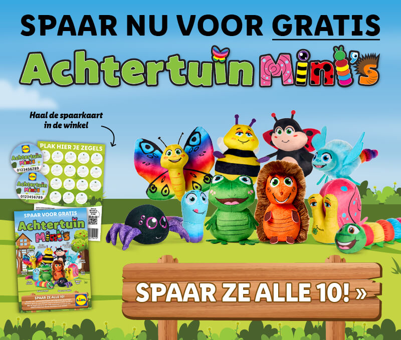 Achtertuinminis