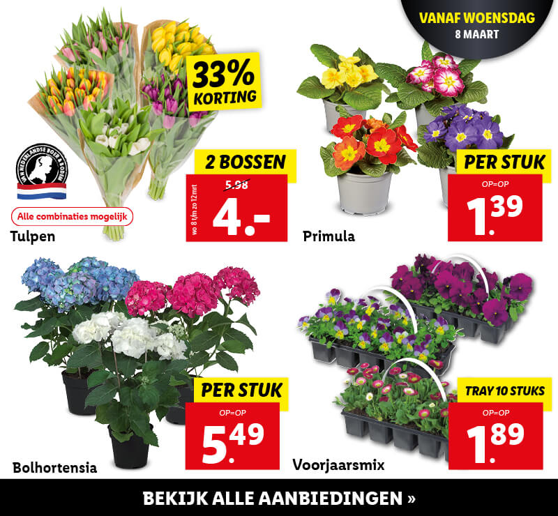 Bloemen en planten