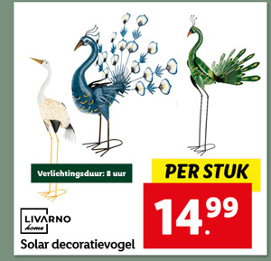 Livarno Home decoratievogel