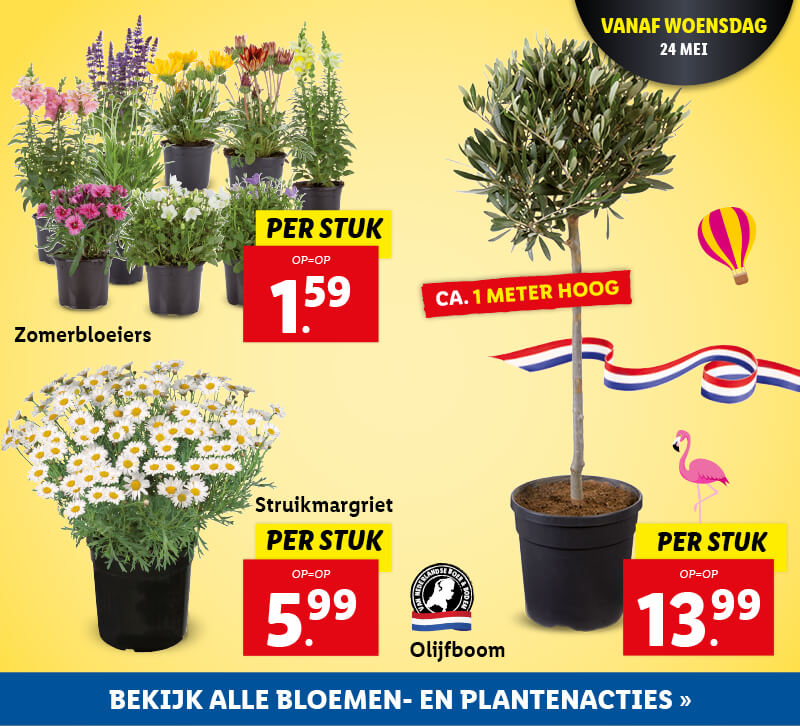 Bloemen en Planten