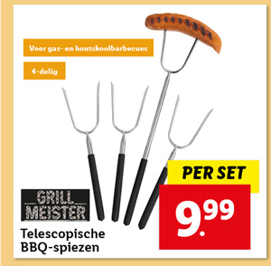 GRILLMEISTER 4 telescopische BBQ-spiezen