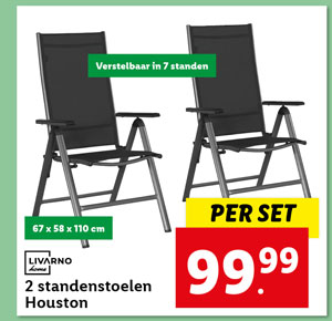 Livarno Home 2 standenstoelen Houston grijs