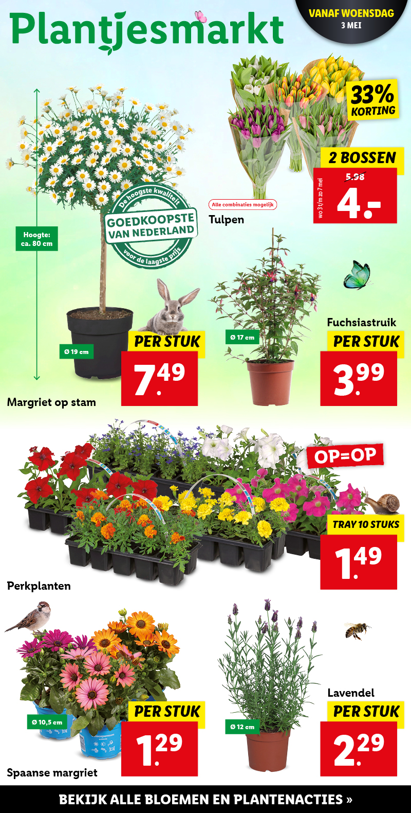 Tuin