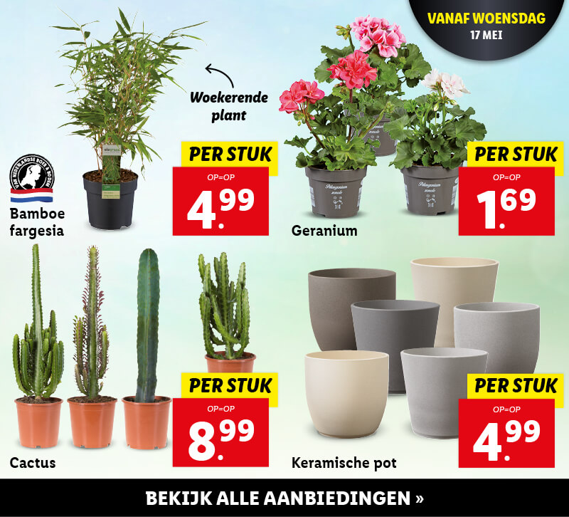 Bloemen en planten