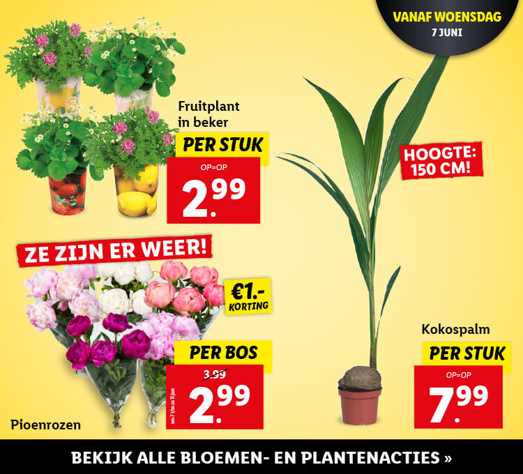 Bloemen en planten