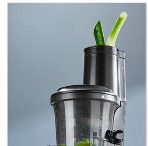 Silvercrest RVS Slowjuicer
