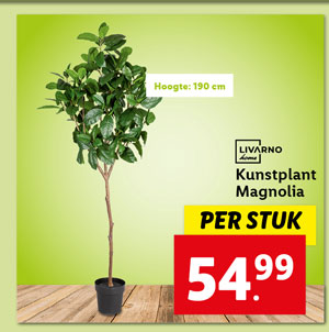 Livarno Home Kunstplant Magnolia
