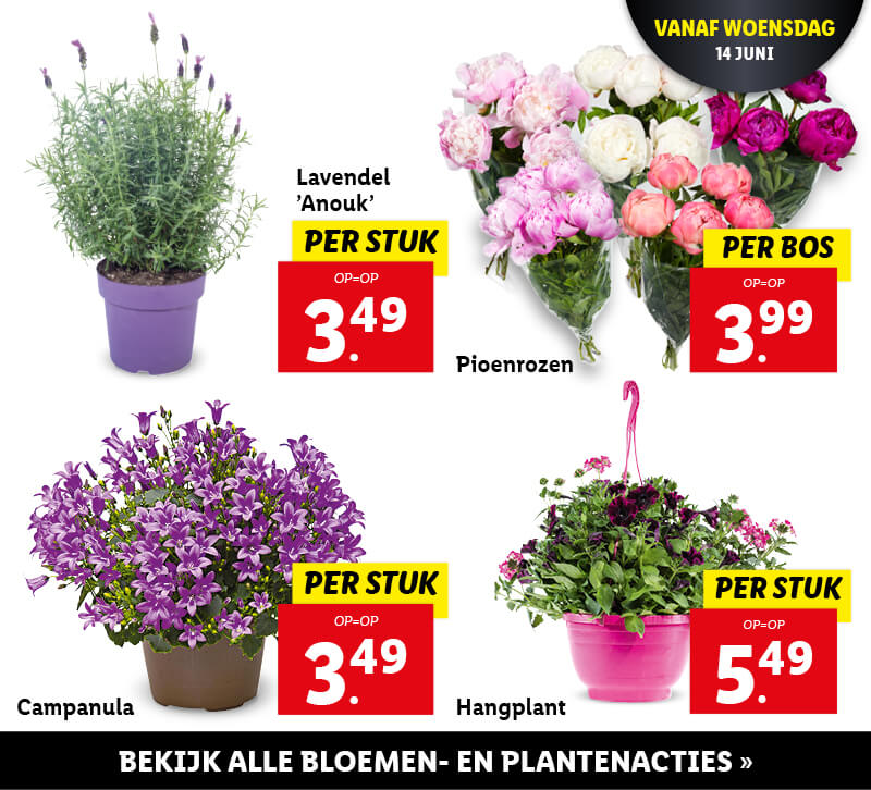 Bloemen & Planten