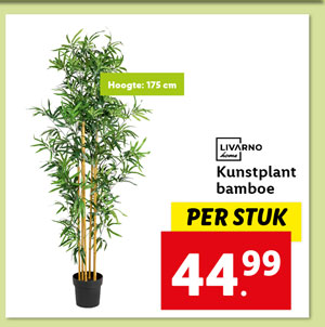 Livarno Home Kunstplant bamboe